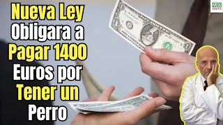 ⚠️ ESTA NUEVA LEY TE OBLIGARÁ A PAGAR 1400 EUROS SOLO POR TENER UN PERRO 🐕💰