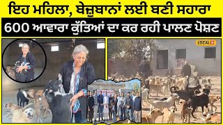 Pathankot News | ਇਹ ਮਹਿਲਾ, ਬੇਜ਼ੁਬਾਨਾਂ ਲਈ ਬਣੀ ਸਹਾਰਾ, 600 ਆਵਾਰਾ ਕੁੱਤਿਆਂ ਦਾ ਕਰ ਰਹੀ ਪਾਲਣ ਪੋਸ਼ਣ #local18