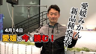 【愛媛県議会議員・中野たいせい】愛媛の今を読む！ 4月14日（日）