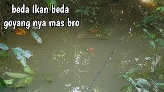 mancing ikan pakai pelampung seru