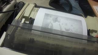 IMPRESORA EPSON LX-810L