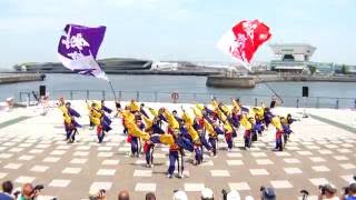 K-one動流夢　01　in　横浜よさこい祭り 良い世さ来い　2016