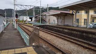 特急踊り子 牧之郷駅通過