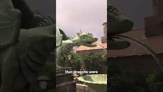 Proof Dragons Are Real 🤯