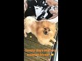 perrie edwards instagram story 2018.05.09.