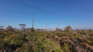 Phu Kradueng National Park, Thailand - 4k