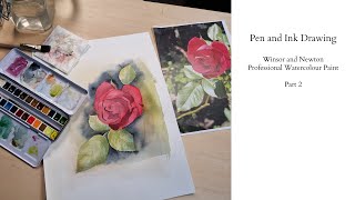 Pen and Ink Drawing with Winsor and Newton Professional Watercolour Paint - Part 2
