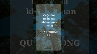 Những câu nói hay