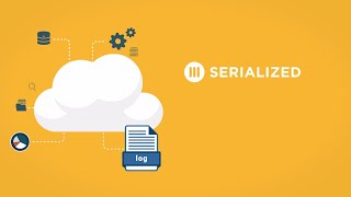 What is Serialized?