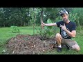 How To Create Your Own Food Forest Island