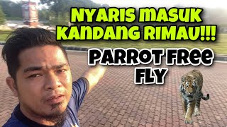 FREE FLY BURUNG DI SEBELAH ZOO MELAKA!!! SANGAT EXTREME!!