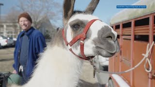 Wilderness Wildlife Week returns in Pigeon Forge