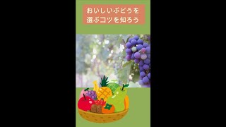 【食欲の秋】おいしいぶどうを選ぶコツ#shorts