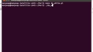Perl Do...While Loop Example