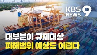 백색국가 제외되면 사실상 모든 소재.부품이 대상…피해 크기·범위 예상도 어려워 / KBS뉴스(News)