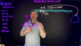 Initiation of DNA Replication in Bacteria