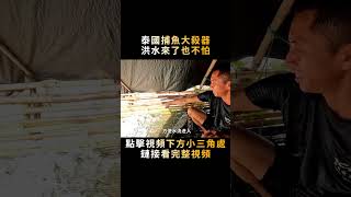 泰國漁民獨創的捕魚陷阱，在暴雨激流中也能抓到大魚，牛！#shorts