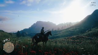 RTX 2060 ►| Red Dead Online ►| 1080p60