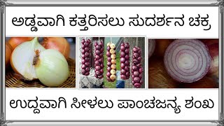 ತ್ರಿಗುಣಾಕಾರ ಈರುಳ್ಳಿ. onion story in kannada