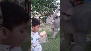 আয়াজ যখন ডাইনোসর কে ভয় দেখায়। #cutebaby #babyshorts #island #funny #viralshorts