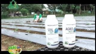 AGRITV JAnuary 1, 2017 Ep UNAGRO SILIHAN FARM IN BULACAN Soil Set