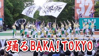 踊るBAKA!TOKYO　2023.6.10　YOSAKOIソーラン2023　大通り西8丁目会場