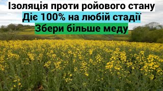 Вивід з ройового стану, швидко і 100 процентово! Вбиваємо пару зайців одним пострілом! Ізоляція ТОП.