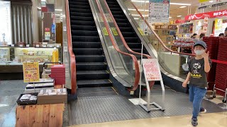 【Japanese Escalator】ピアゴ洞店・入口側・三菱エスカレーター