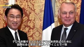 岸田外務大臣のイタリア，バチカン及びフランス訪問