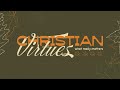 Christian Virtues: What Really Matters | Purity