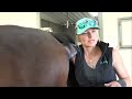 dr rachael rebel vet episode 7 to breed or not to breed