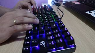 Havit Gamenote KB435L RGB Mechanical Gaming Keyboard [Unboxing/Demo] (Best Budget Keyboard!)