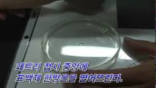 [신과람실험실] Small Scale Chemistry - 염소의 합성과 반응