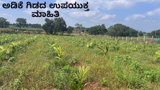 ಅಡಿಕೆ ಗಿಡದ ಉಪಯುಕ್ತ ಮಾಹಿತಿ | part-1 | @2stroke__kannadiga |Farmer