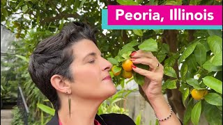 Discover LGBTQ+ Friendly Peoria, IL: Pride Events, Inclusive Spots & Travel Tips