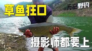 【無空野釣】草魚狂口了，攝影師都忍不住要過一下癮 #探险 #户外 #钓鱼生活 #钓鱼高手 #钓鱼分享 #钓鱼佬 #大鱼