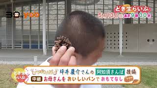 ５月１３日のどき生らいぶは！？