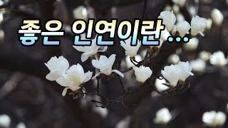 좋은 인연이란... [10번 재생]