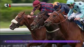 2018 Poule d'Essai des Poulains G1 - Olmedo (奧美度) - C.Demuro