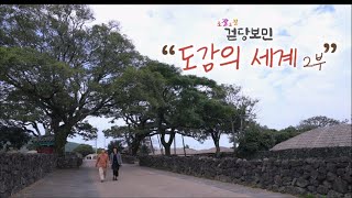 조잘조잘 걷당보민 [도감의 세계 2부] KBS제주 221108방송