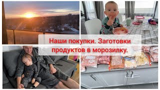 Хожу в школу.  Заготовки в морозилку.  Наши покупки.