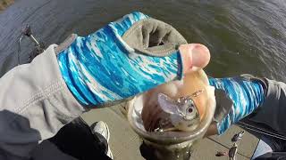 How to remove a swallowed hook from a bass