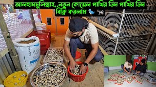 আলহামদুলিল্লাহ,,নতুন কোয়েল পাখির ডিম বিক্রি করলাম 🐦