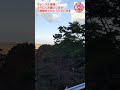 愛媛県西条市、石鎚神社口之宮本社本殿　神社からの景色を見てきました。⛩