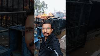 ആഴി മഴയത്തും അണയാതെ #swamiye #shortfeed #youtubeshorts  #ayyappaswamymyheartbeat #sabarimalaayyapan