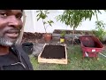 budget friendly gardening create an herb bed in under 10 min