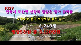 [번호 1029]안동시 도산면 밭같은 임야 평당5천원