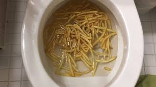 Will it Flush? - McDonald's French Fries