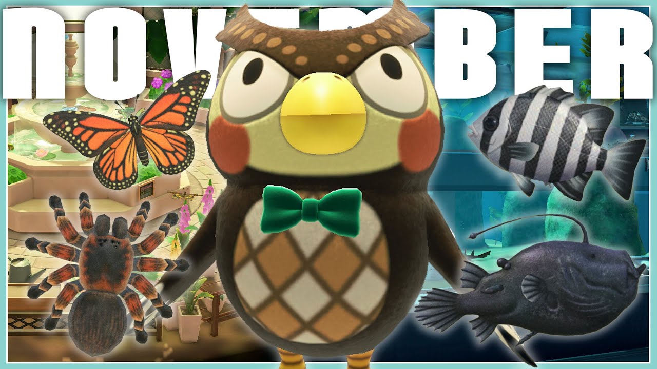 November Fish & Bug Guide | Animal Crossing New Horizons - YouTube