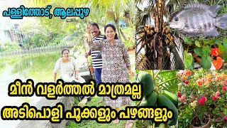 10 ഏക്കറിൽ വിളയുന്ന മീന്‍ സമൃദ്ധി കരിമീൻ കാളാഞ്ചി പൂമീൻ തിലോപ്പിയ Fish Farming Pallithode Alappuzha